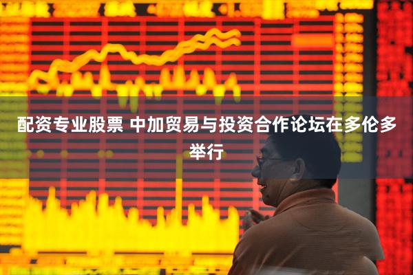 配资专业股票 中加贸易与投资合作论坛在多伦多举行
