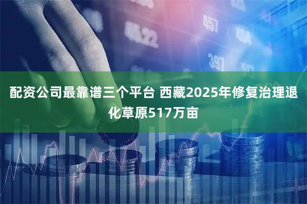 配资公司最靠谱三个平台 西藏2025年修复治理退化草原517万亩