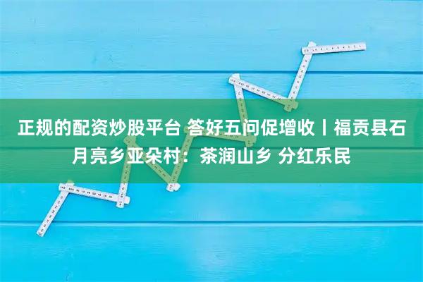 正规的配资炒股平台 答好五问促增收丨福贡县石月亮乡亚朵村：茶润山乡 分红乐民